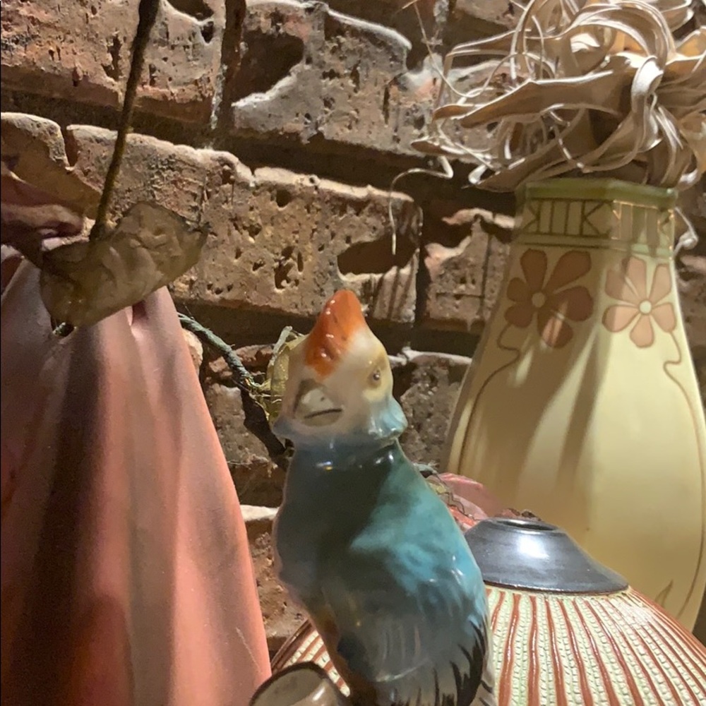 Meet your Posher, Windi